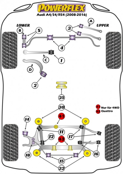 Powerflex Buchsen Führungslenker hinten aussen